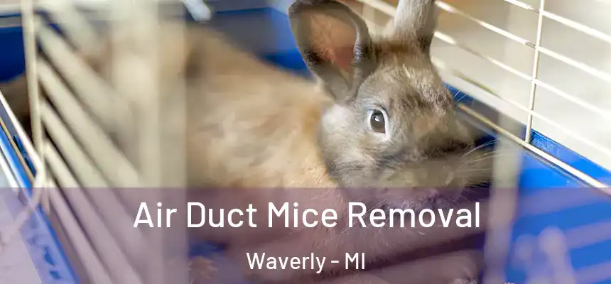 Air Duct Mice Removal Waverly - MI
