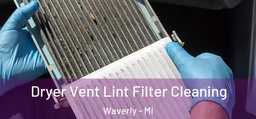  Dryer Vent Lint Filter Cleaning Waverly - MI