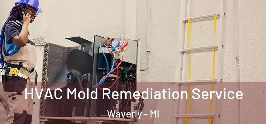 HVAC Mold Remediation Service Waverly - MI