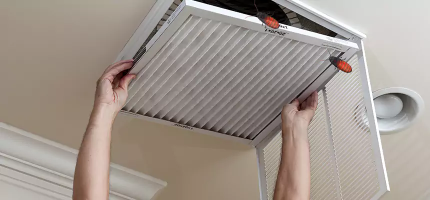 Preventive Cockroach-Proofing for Ducts in Waverly