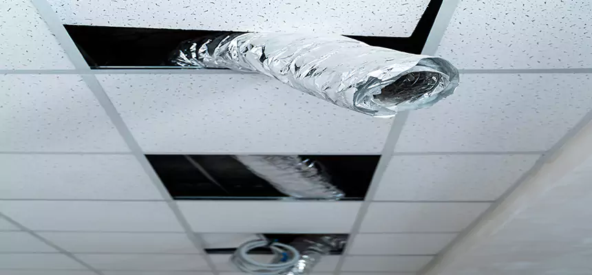 Affordable HVAC Sanitizing After Pest Removal in Waverly