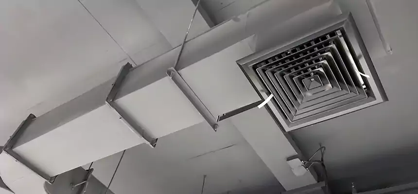 Restorative Allergy Relief Vent Cleaning – Coil, Blower & Housing Detail in Waverly