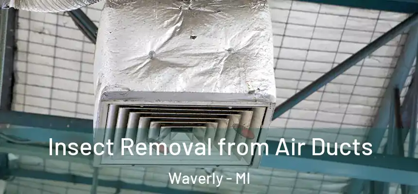 Insect Removal from Air Ducts Waverly - MI