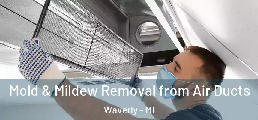 Mold & Mildew Removal from Air Ducts Waverly - MI