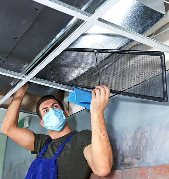 About Air Duct Bacteria Removal in Waverly