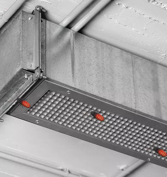 About Air Duct Cockroach Removal in Waverly, MI