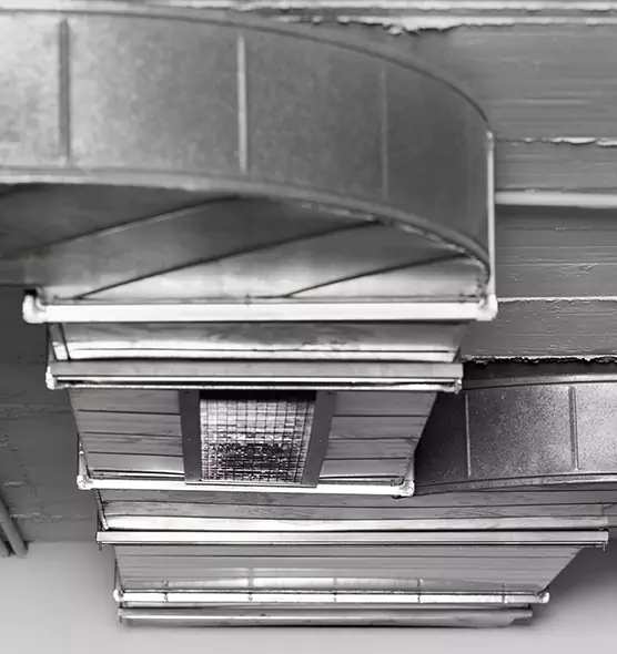 Professional Air Duct Pest Removal in Waverly, MI