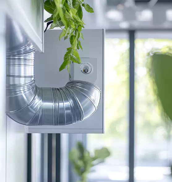 Professional Eco-Friendly Duct Cleaning Services in Waverly, MI