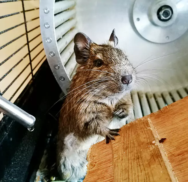 Why Homeowners & Businesses Trust Us Waverly, MI